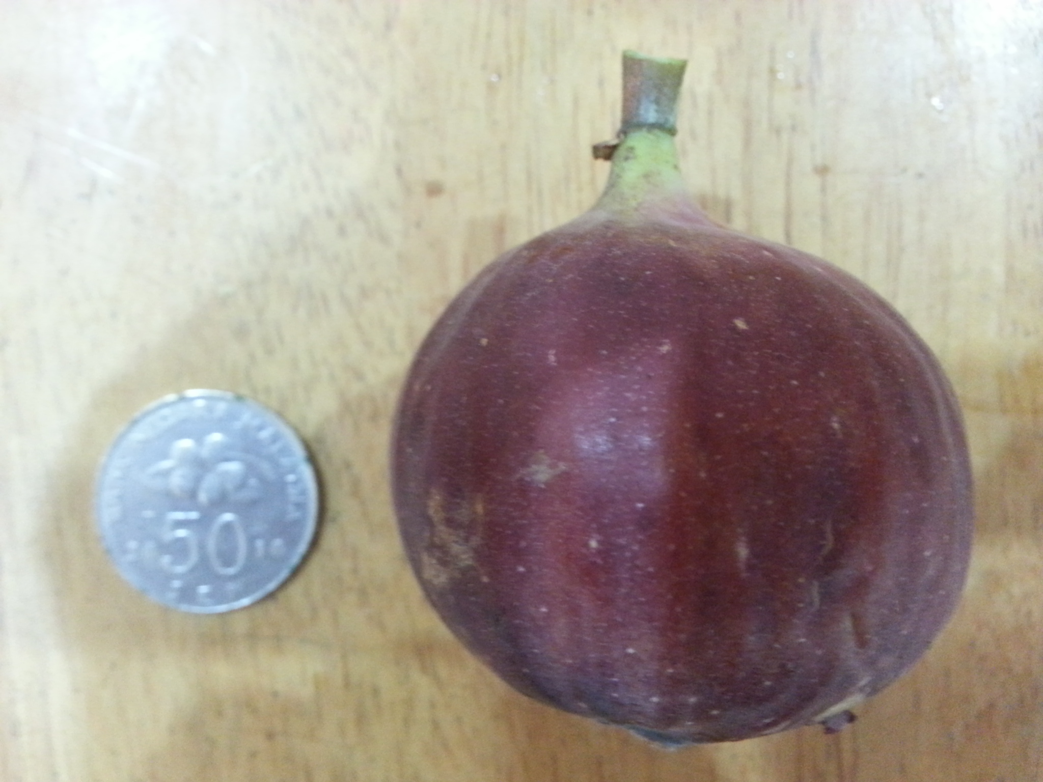 Pomegranate Fruit